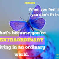 Made via Canva