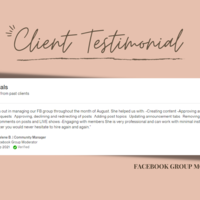 Client Testimonial