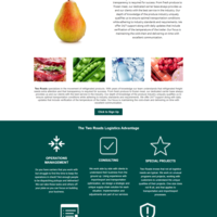 Website design
