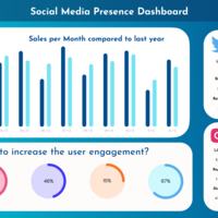 A Social Media Dashboard for company