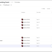 Asana Project