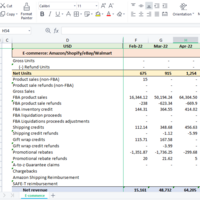 E-commerce P&L