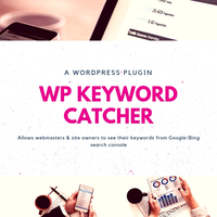 Wp Keyword Catcher