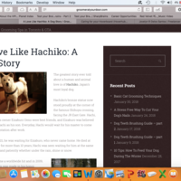 Blog for a Pet Company 