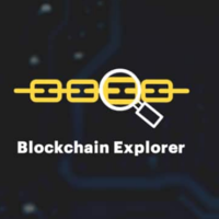 Block Explorer Development