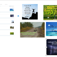 Social Media Management