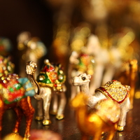 Portfolio Thumbnail 8