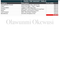 Travel Budget & Expense Planning