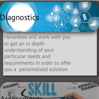 Portfolio Thumbnail 4