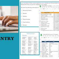 Data Entry