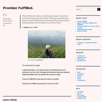 WordPress Management