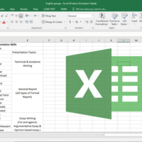 excel data entry