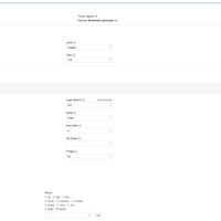 Item Specifics