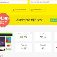 AliceInWanderlust Pingdom