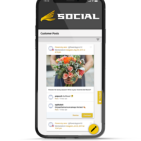 Falcon Social App Design