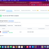 A2P 10DLC Registration Expert