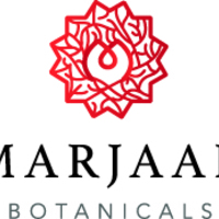 Logo Designs