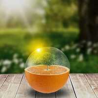 Portfolio Thumbnail 0