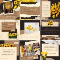 Graphic designs
