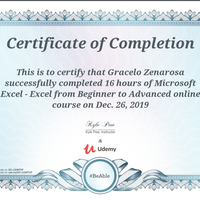 Certificate of Completion - MS Excel Advanced Training