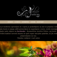 Felice-kozmetika.com developed full website on Wordpress
