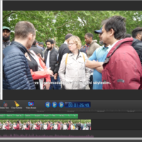 subtitling
