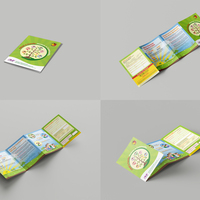 AMP - QUAD FOLD BROCHURE