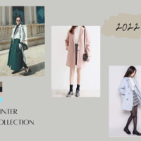 Catalogue