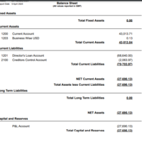 Balance Sheet Report