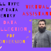 All Type of Data Entry, Scraping