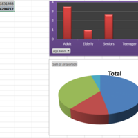 Excel /Dashboard