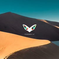 Fenneco | Sportswear | logo design & branding