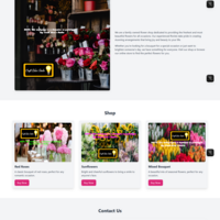 WEBSITE MAKING (HTML/CSS/JAVACRIPT