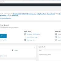 WordPress