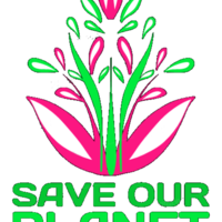 Portfolio Thumbnail 11