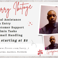 Canva flyer design sample