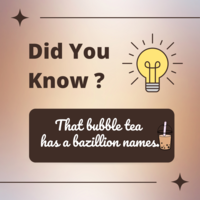 Portfolio Thumbnail 12