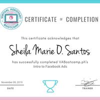 Facebook Ads training certificate