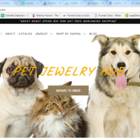 Portfolio Thumbnail 8