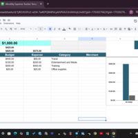 Monthly Expense Tracker & Data Visualization