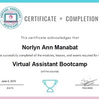 Virtual Assistant Course Certificate