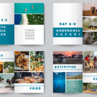 Travel Brochure