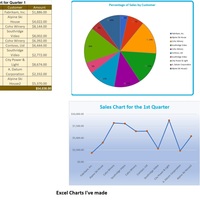 Excel Charts I've made