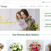 Web Design2