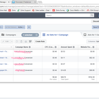Ads performance (Conversion)