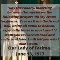 Portfolio Thumbnail 9