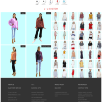 Wordpress Website Design