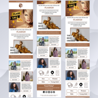 Where Style Speaks: Email for Fashion