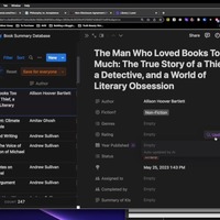 Notion Database Management