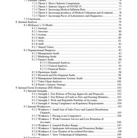 Strategic Plan Sample Work